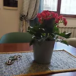 Giuel